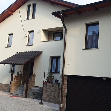 Dumi'S House Apartment Borşa Exterior foto