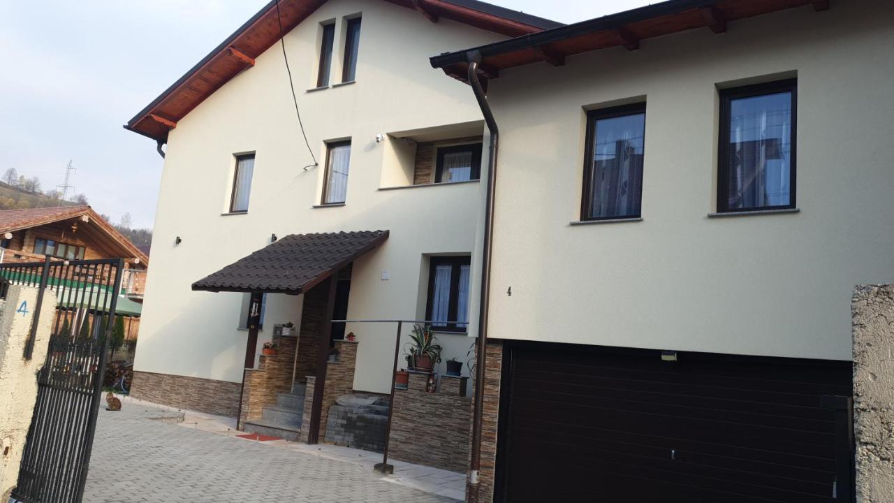 Dumi'S House Apartment Borşa Exterior foto